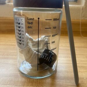 Glass sourdough starter kit with Measurement Markings